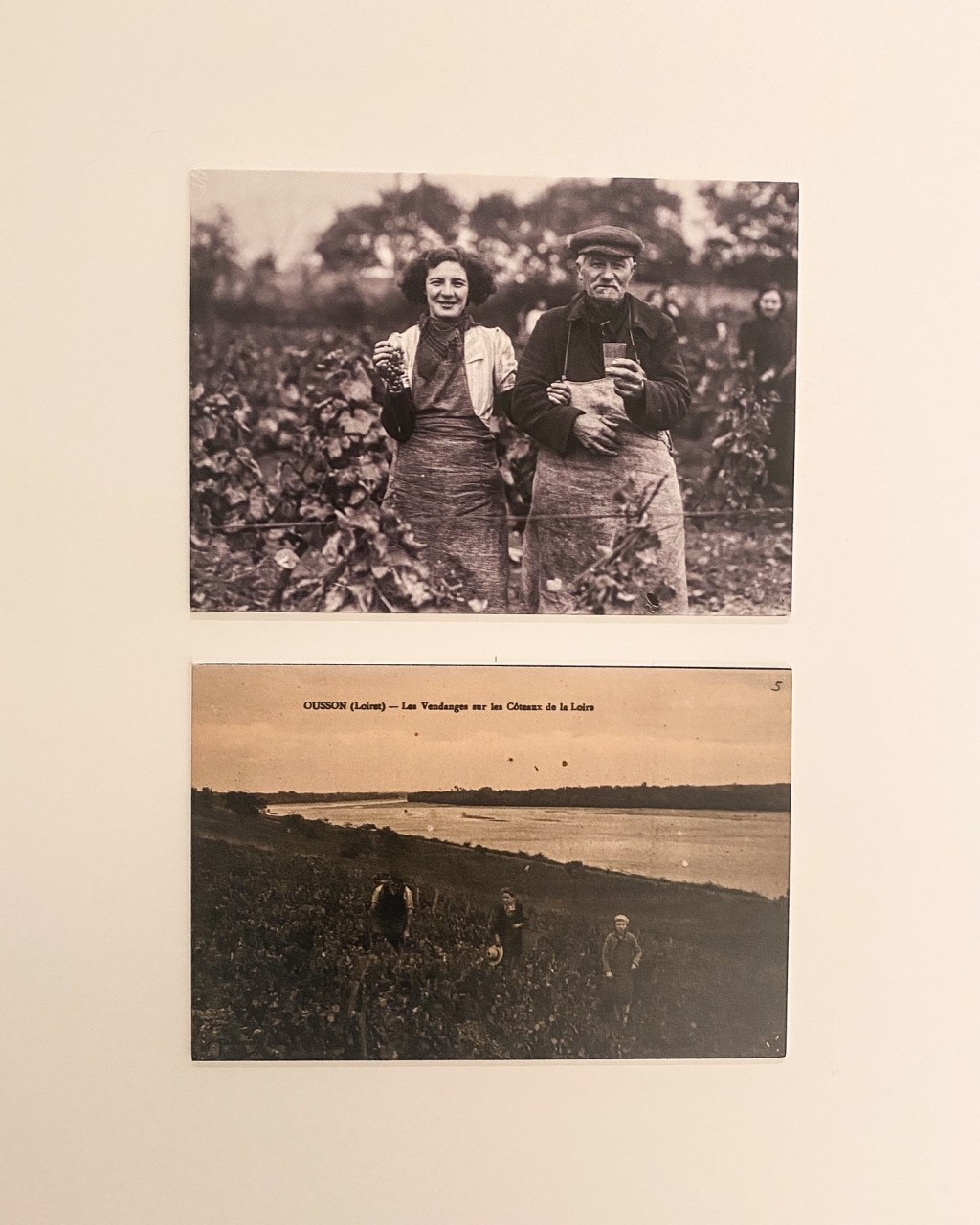 Rendez-vous en terre loirétaine : le Loiret au fil des&nbsp;siècles