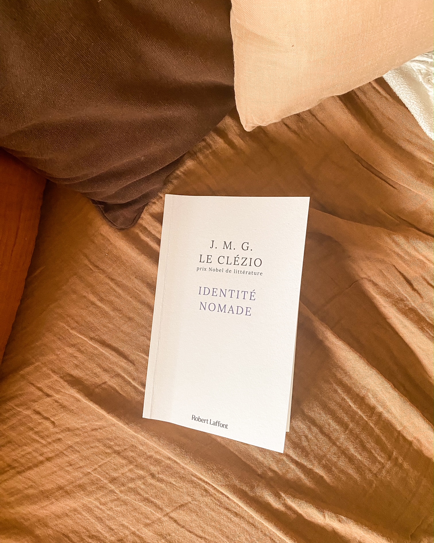 Identité Nomade, de J. M. G. Le Clézio : les vertiges du moi