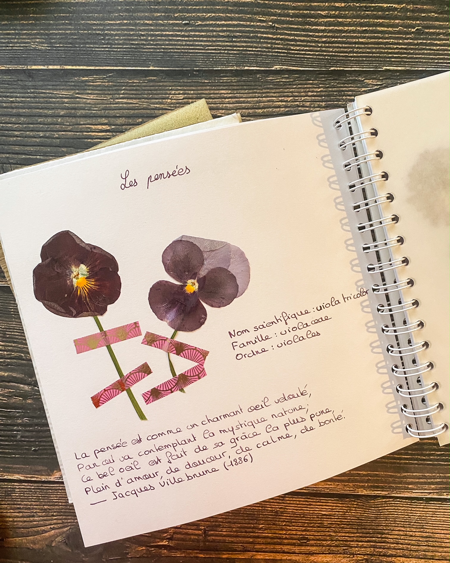 Instantané : herbier poétique