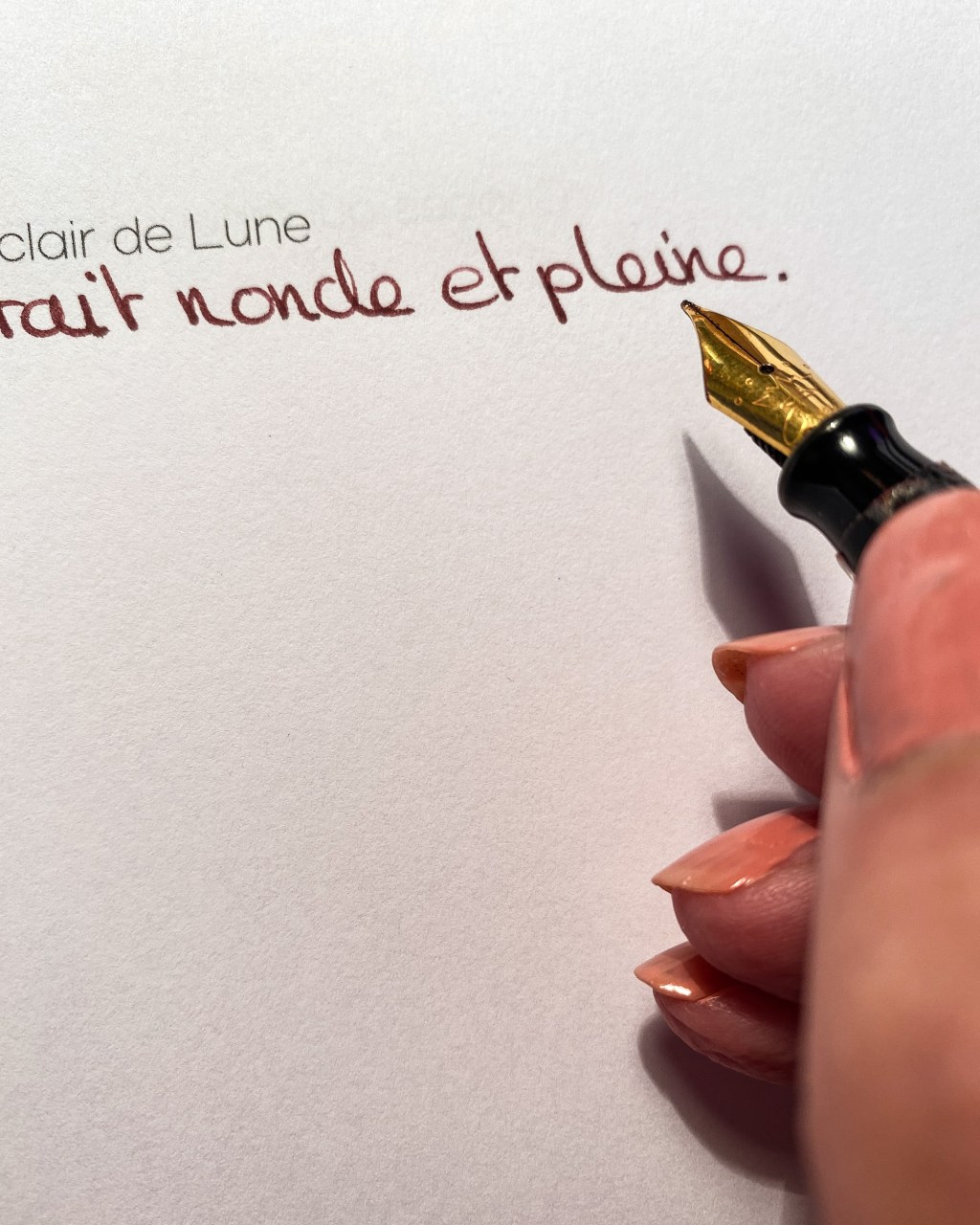 Autrice indépendante : des&nbsp;nouvelles