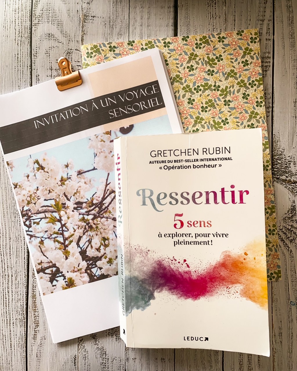 Ressentir, de Gretchen&nbsp;Rubin