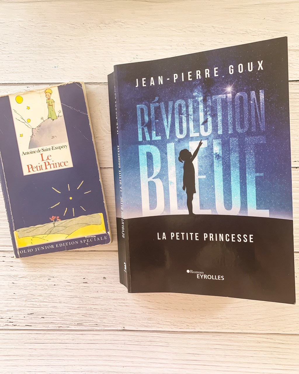 La Révolution bleue, de Jean-Pierre&nbsp;Goux