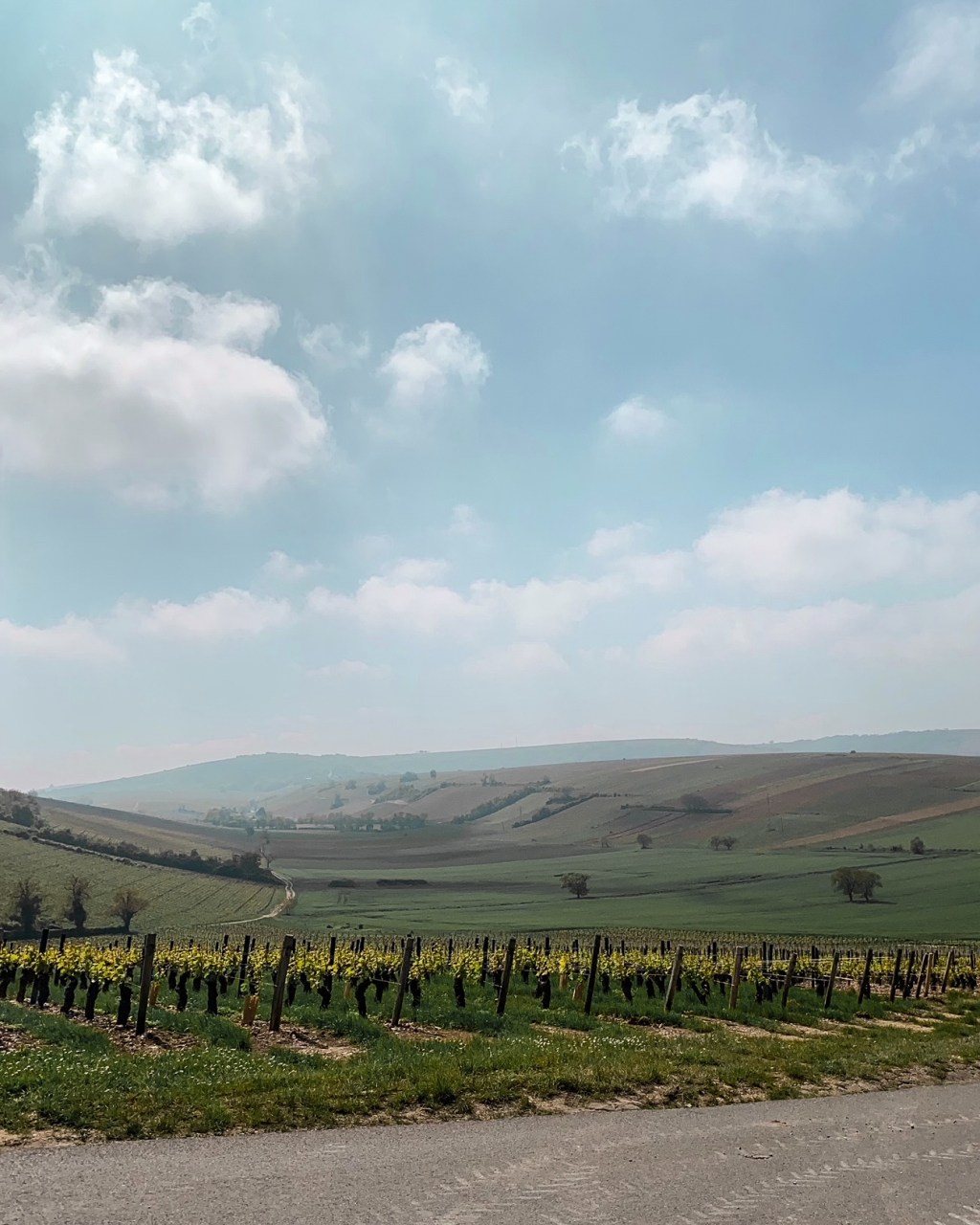 Road trip – Vallée de la Loire : Pouilly et&nbsp;Sancerre