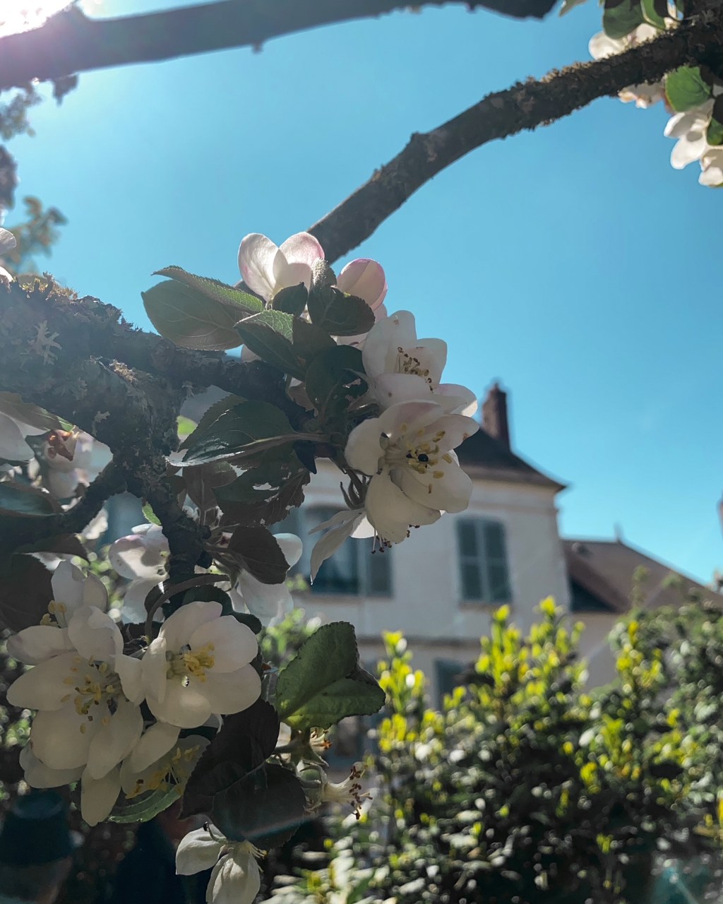 Road trip – Bourgogne : Saint-Sauveur-en-Puisaye