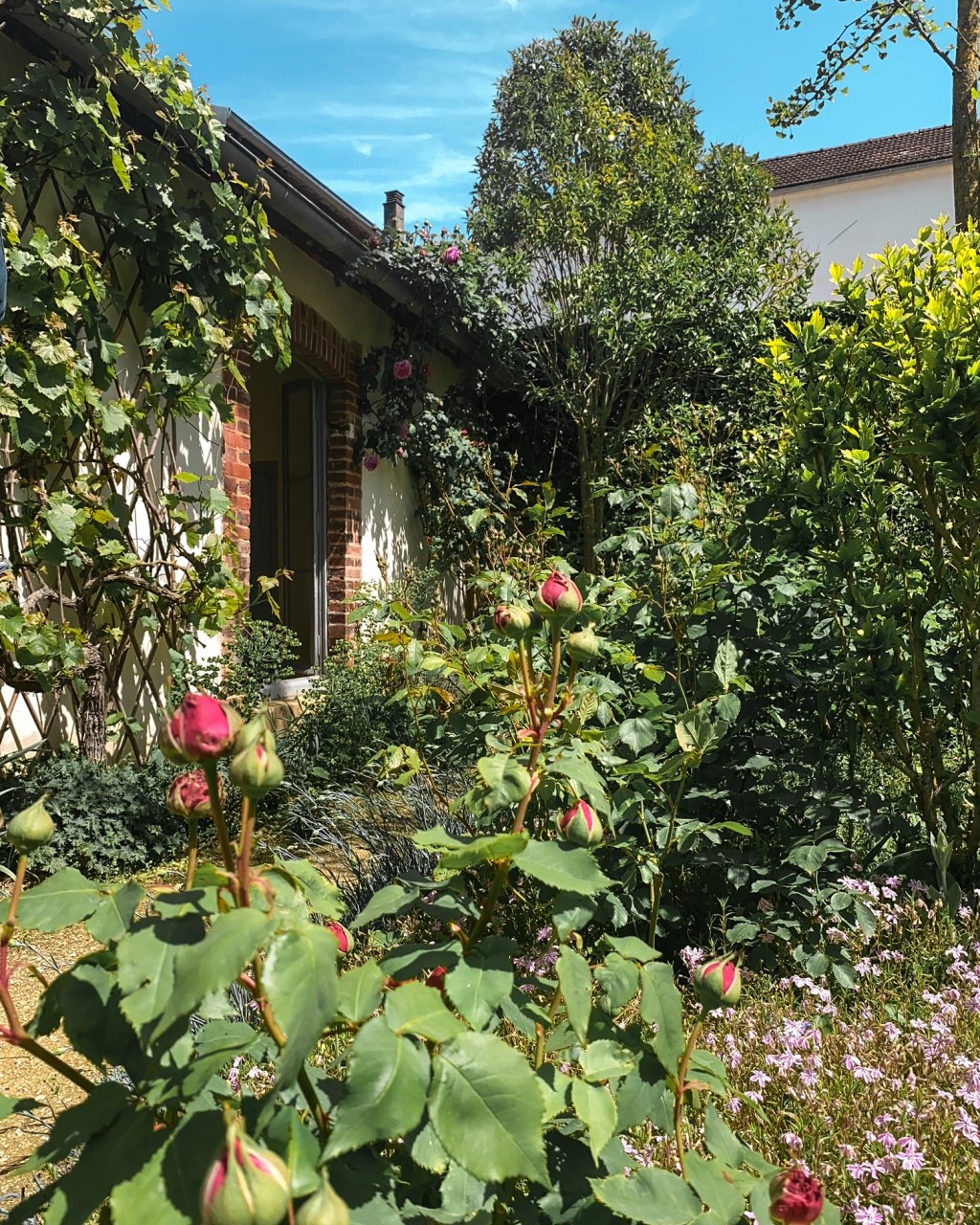 Ne l’oublie pas, il faut vieillir&nbsp;!