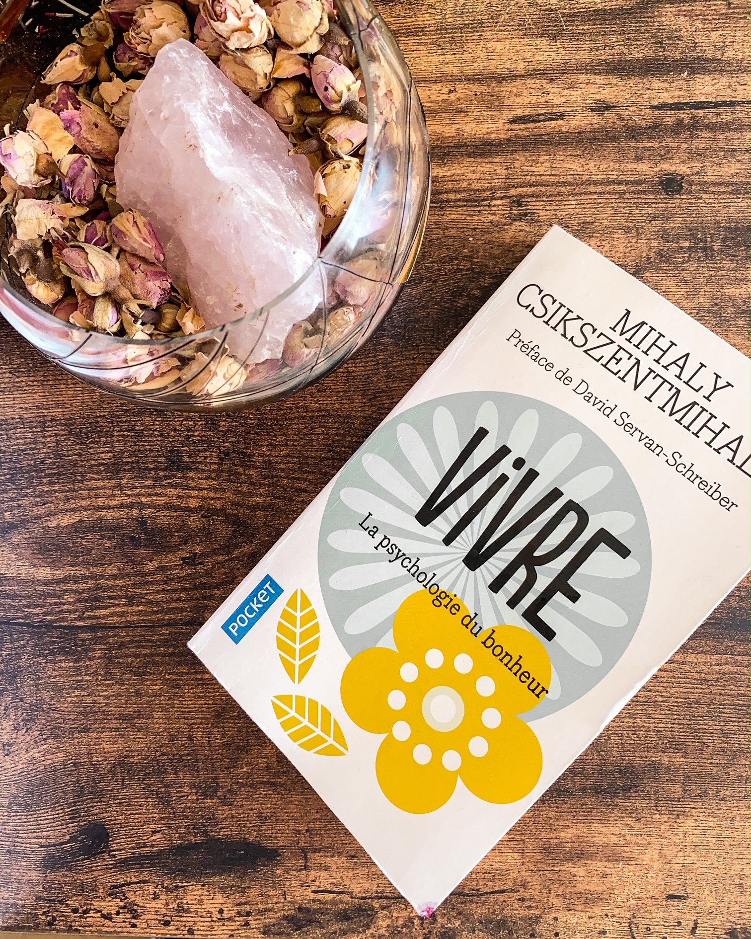 Vivre : la Psychologie du bonheur, De Mihaly Csikszentmihalyi