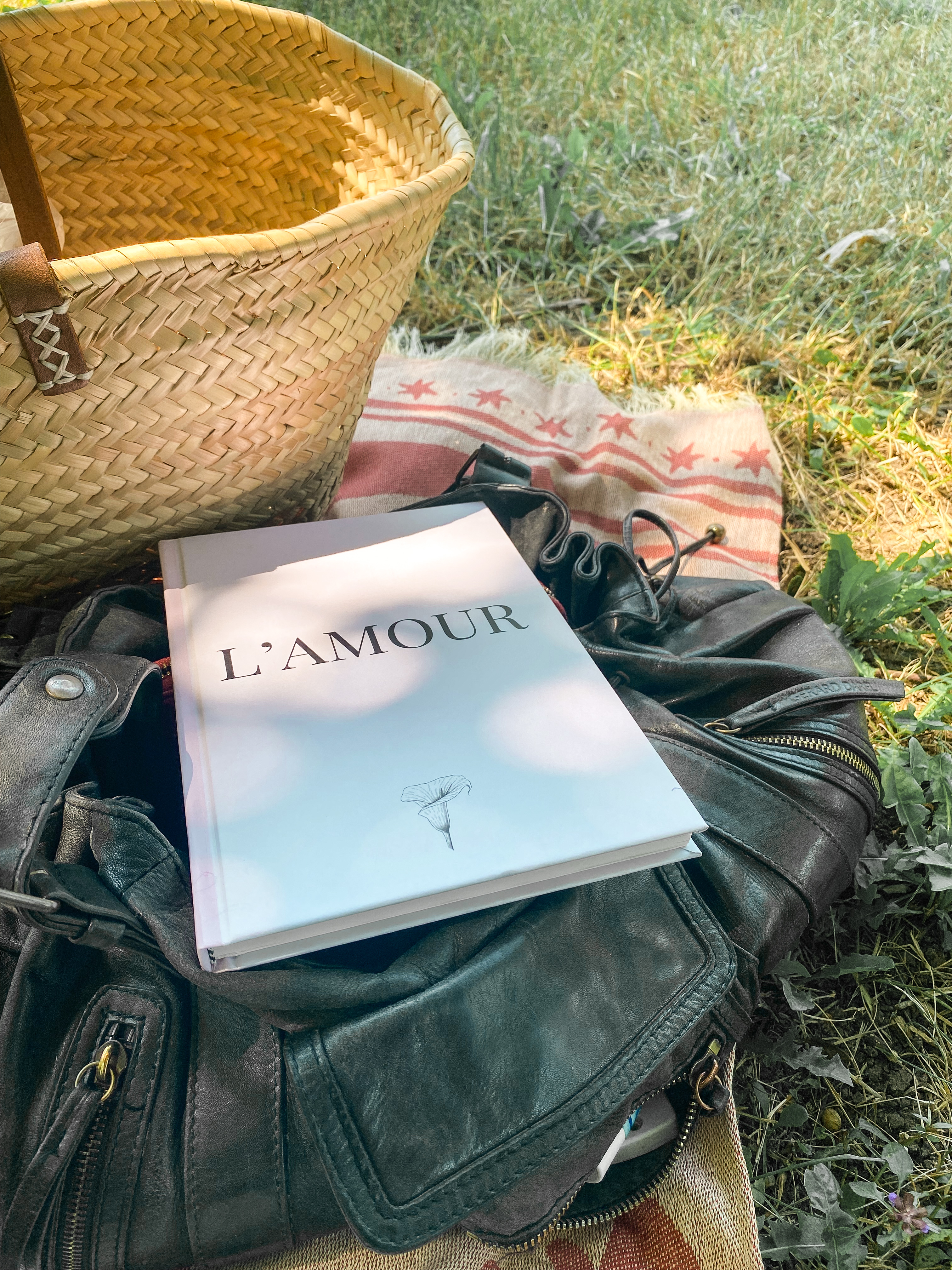 Pique-niquer dans un parc