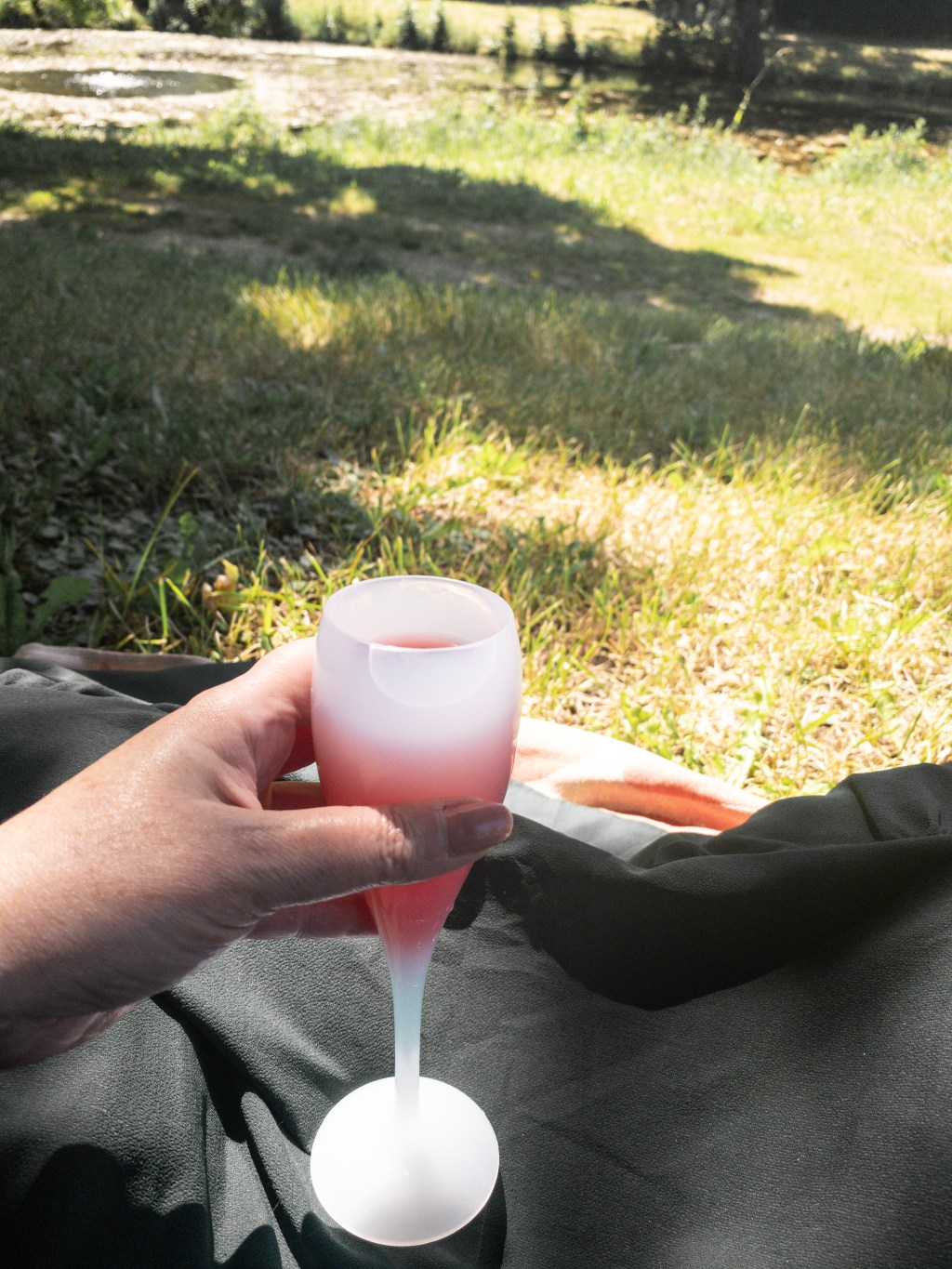 Opération pique-nique