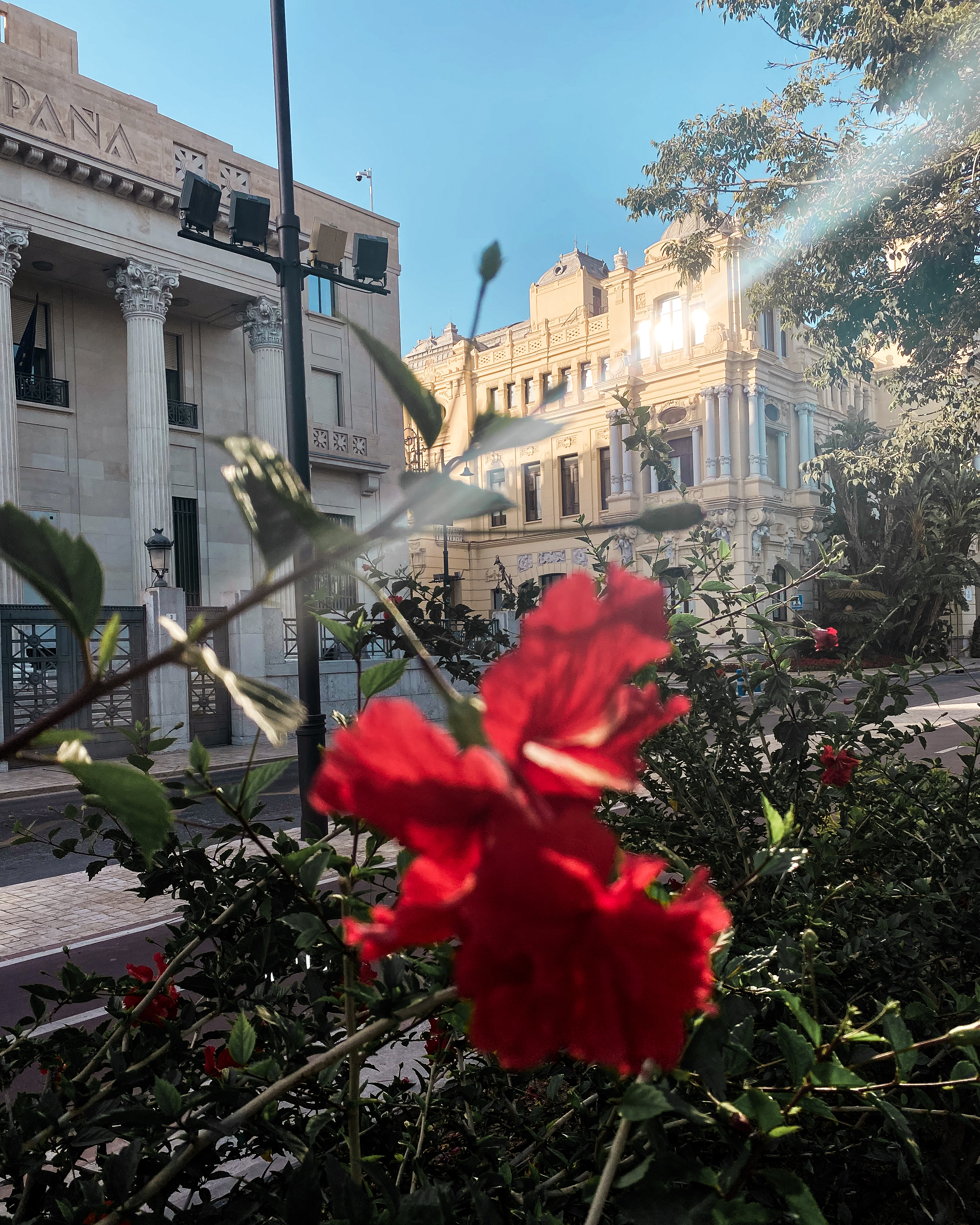 Se promener dans Malaga