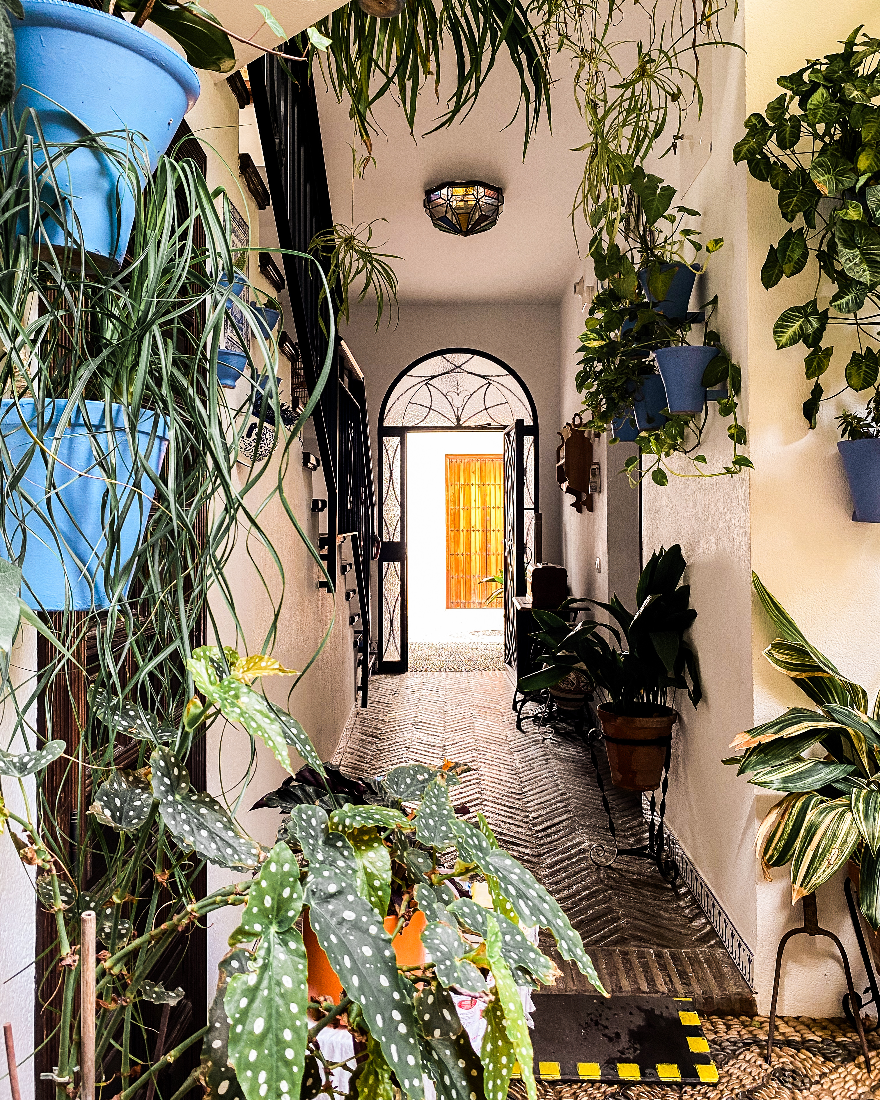 Patios de San Basilio