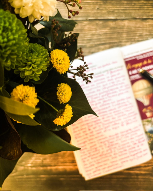 Journal de rendez-vous avec l'artiste