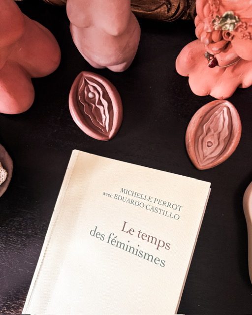 Le Temps des féminismes, de Michelle Perrot (avec Eduardo&nbsp;Castillo)