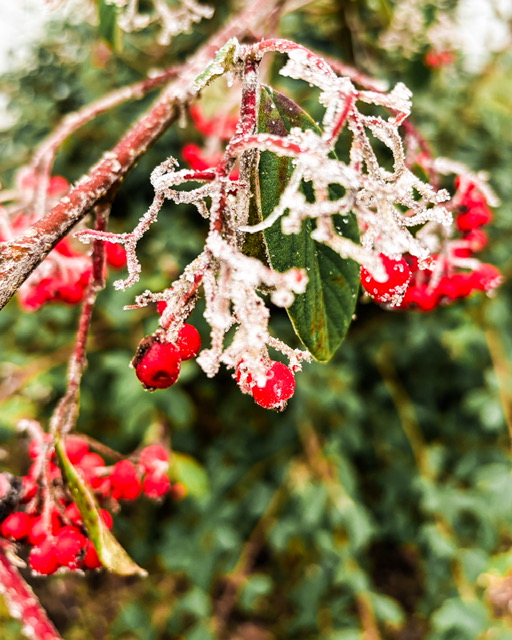 Faut-il être productif&nbsp;?