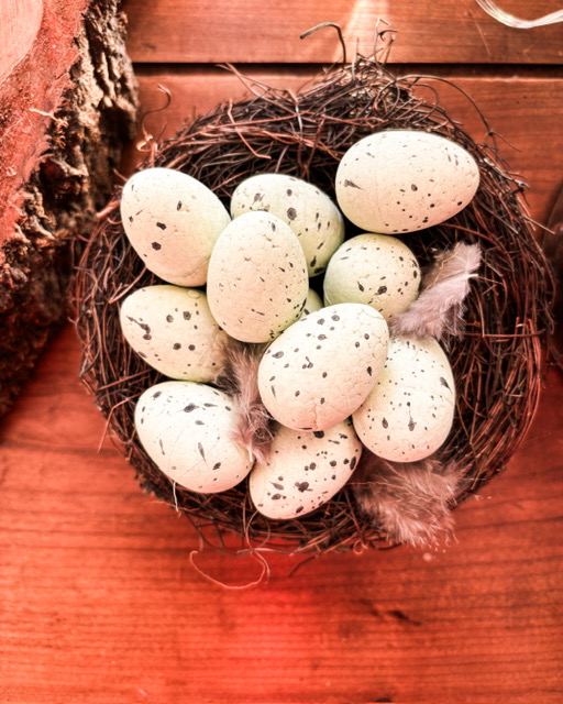 Décoration de printemps