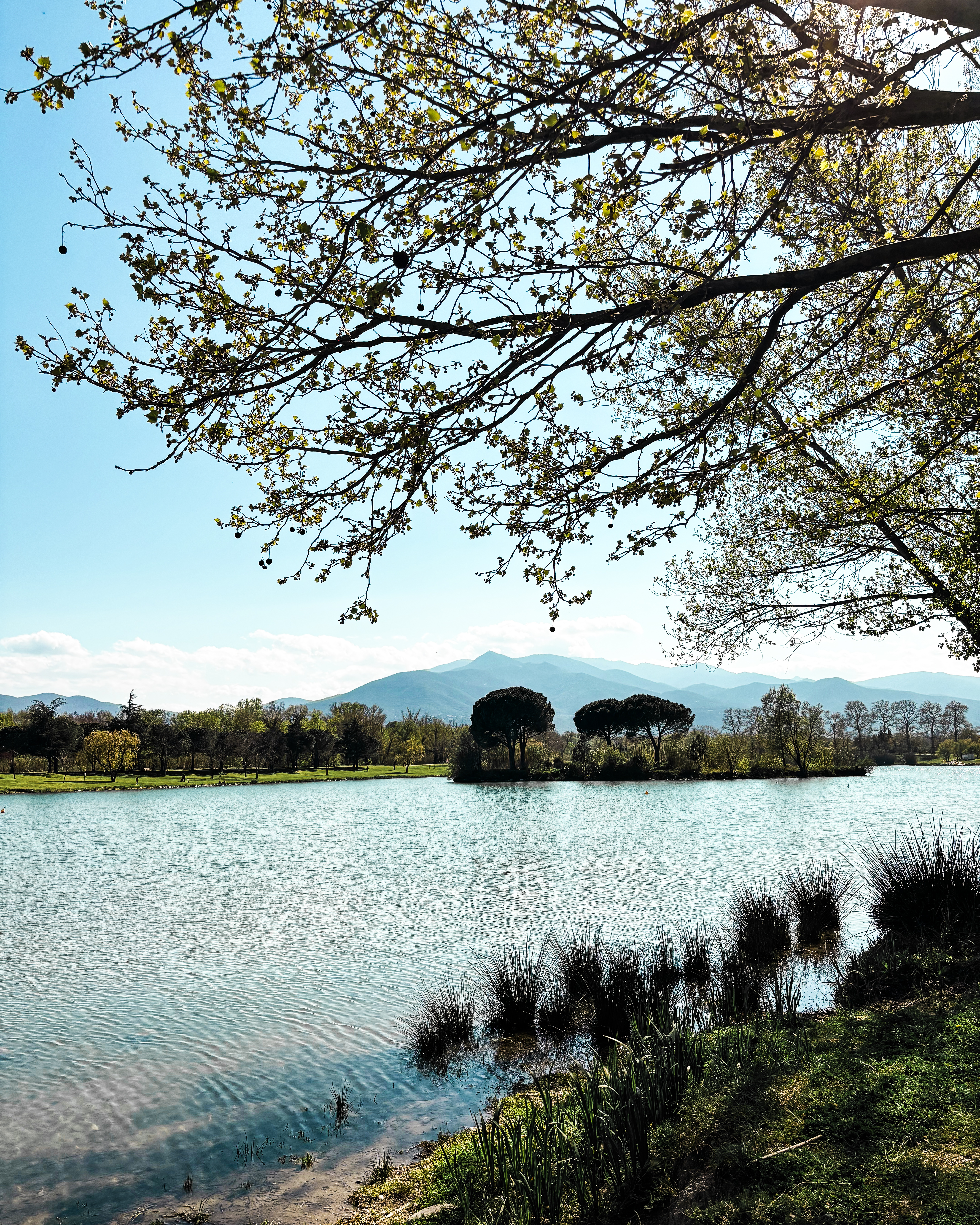 Lac de Saint Jean Pla de Corts