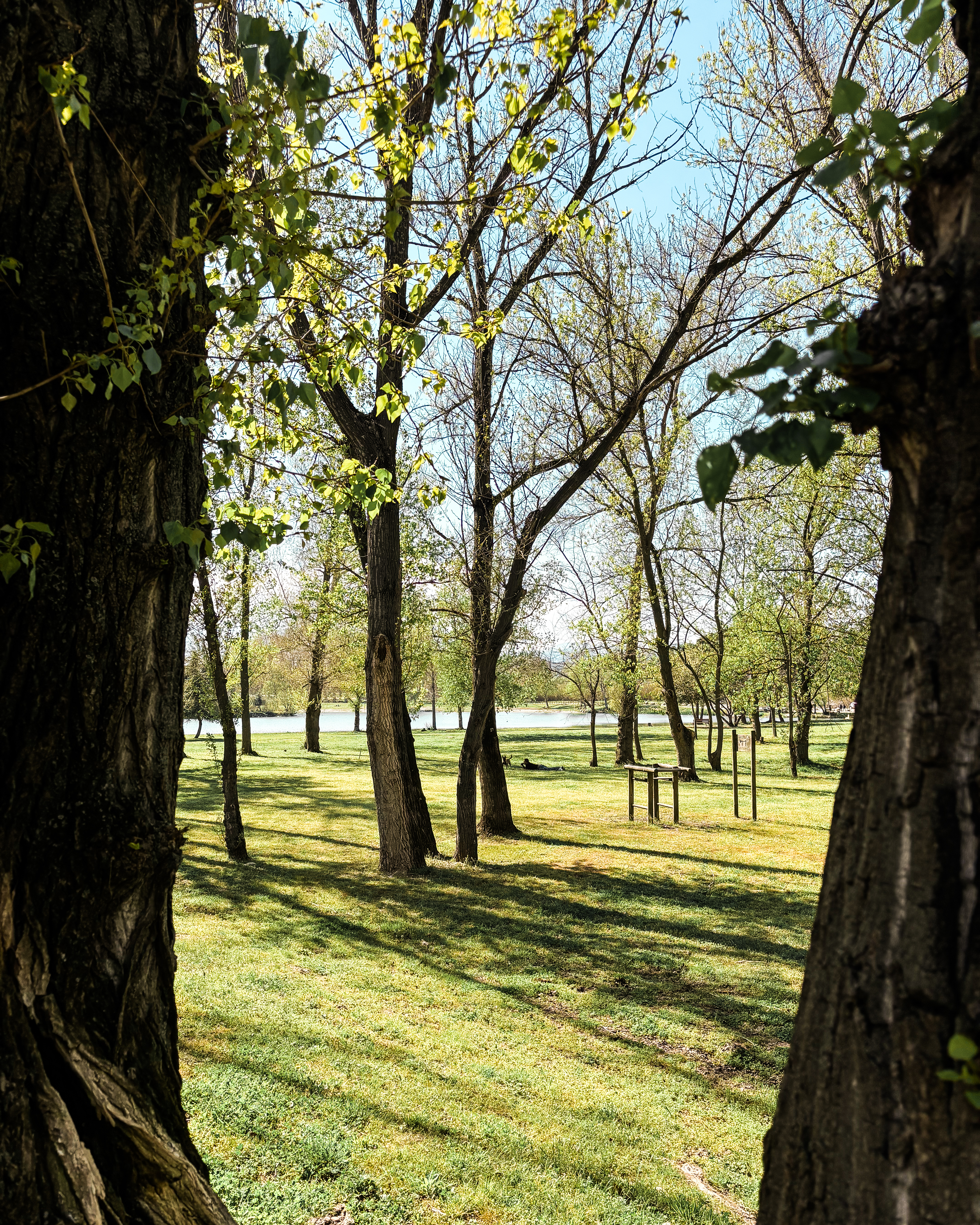Lac de Saint Jean Pla de Corts