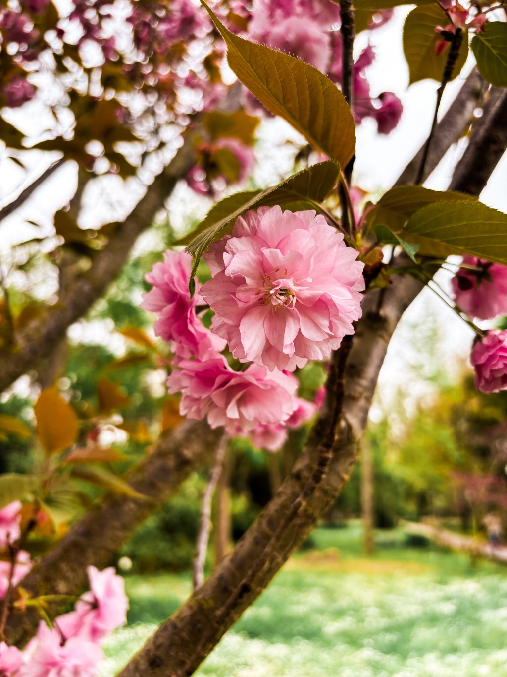 En mots et en images : Avril&nbsp;2025