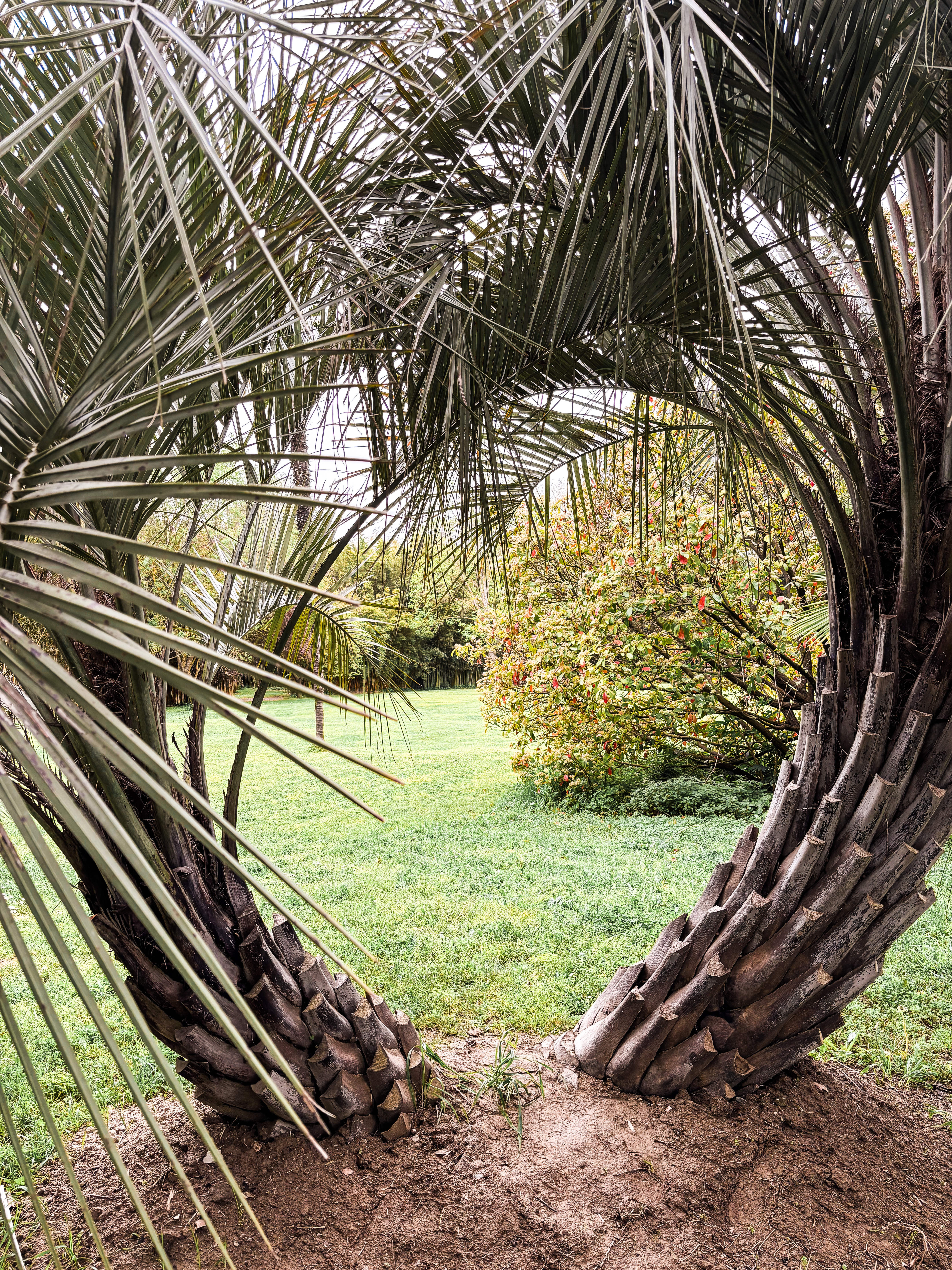 Jardin des Capellans