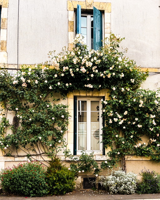 Sur le chemin du marché