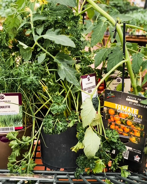 Passage en jardinerie