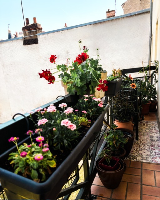 Mon petit coin de paradis