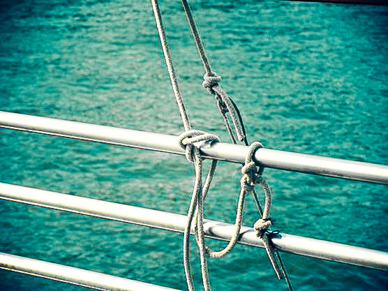 Les quatre styles d’attachement