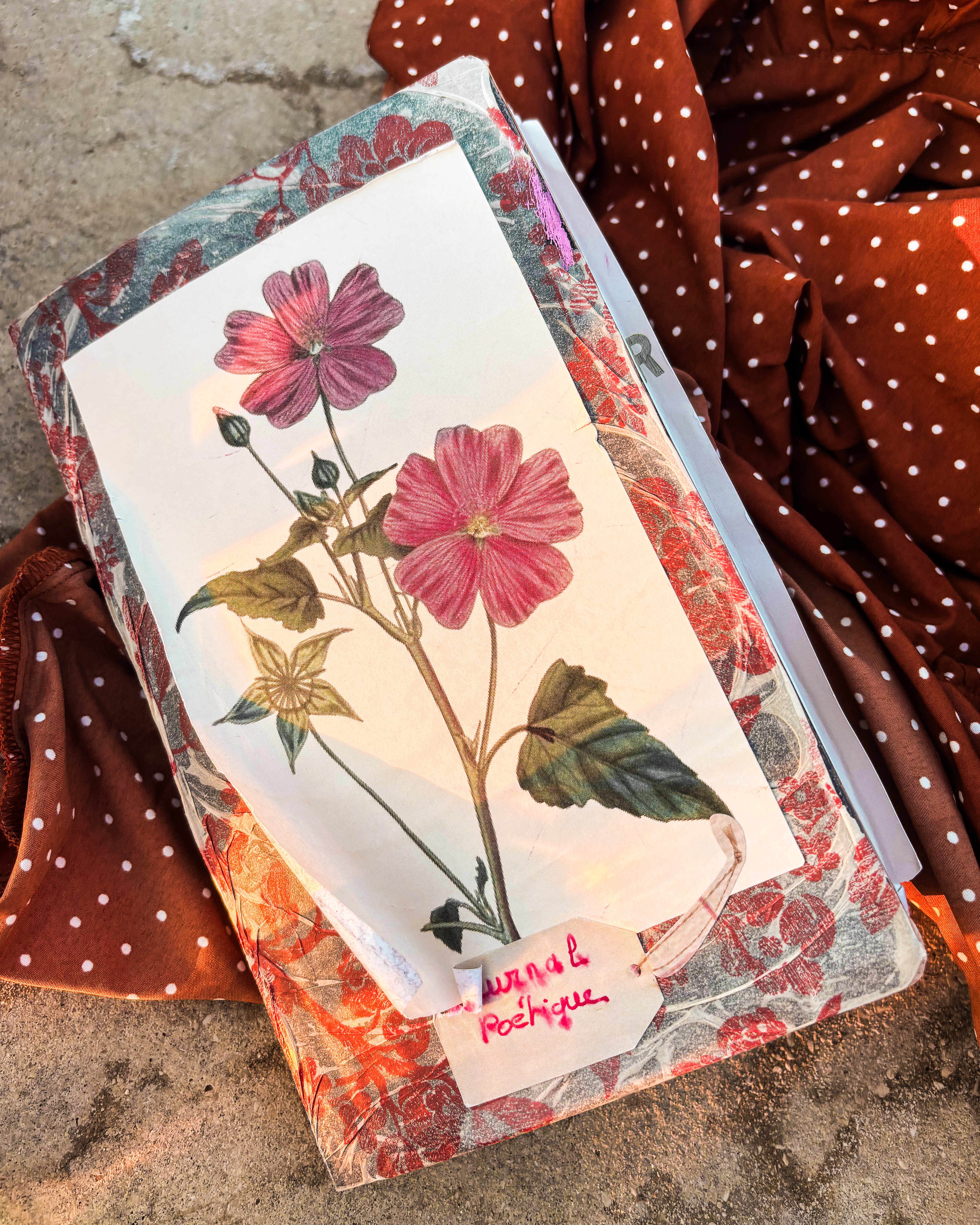 Martyriser mon journal et écrire des dizaines de pages