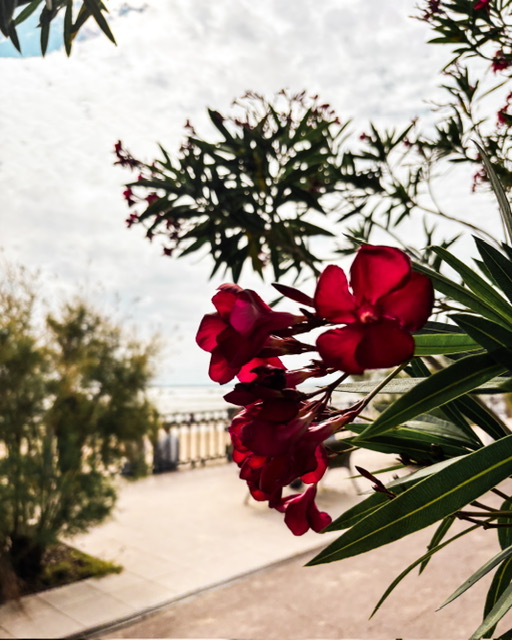 Les jolies choses des vacances