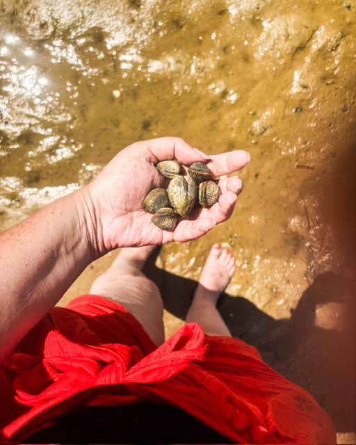 Les jolies choses des vacances