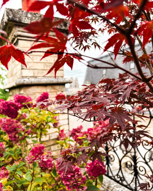 Un toit terrasse enchanteur