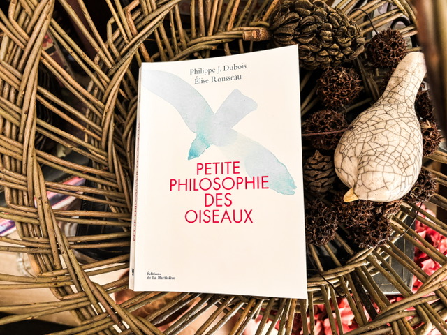 Petite philosophie des oiseaux, de Philippe J. Dubois et Elise&nbsp;Rousseau
