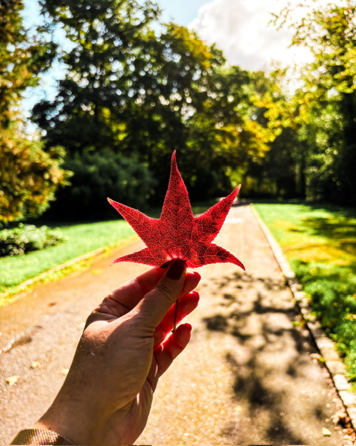 Les premiers feux de l'automne