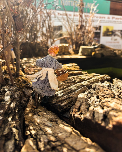 Festival de Loire 2025