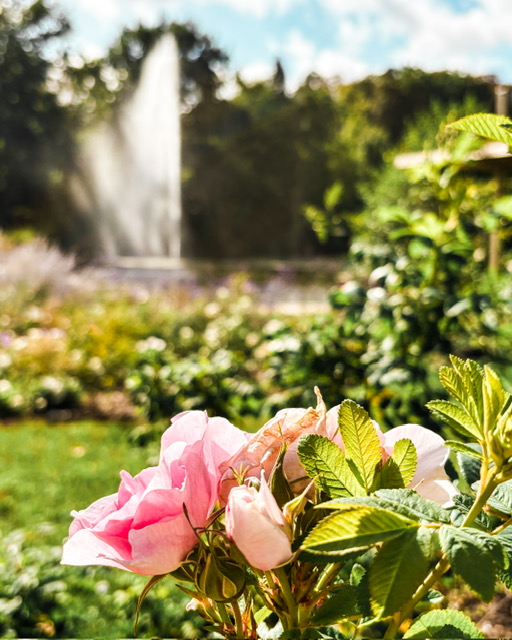 Promenade au Parc Floral