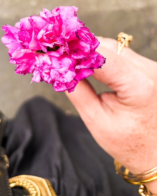 une fleur sur le trottoir