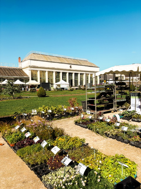 Promenade au Jardin des plantes
