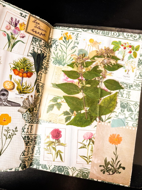 Une page de journal poétique