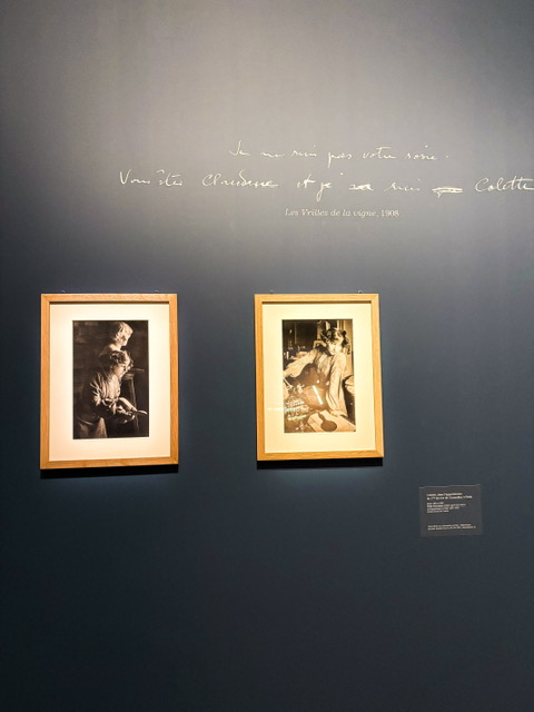 Les mondes de Colette