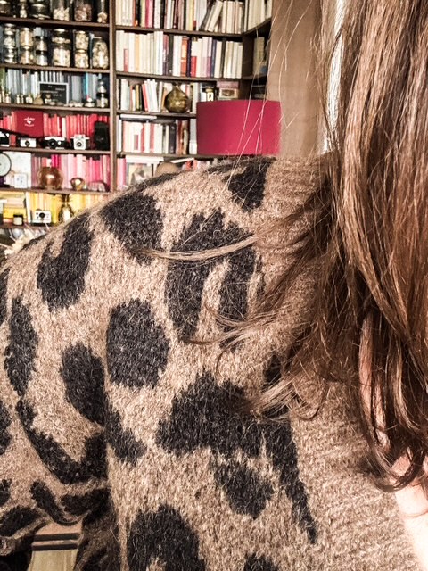 L&rsquo;imprimé léopard et la puissance&nbsp;féminine