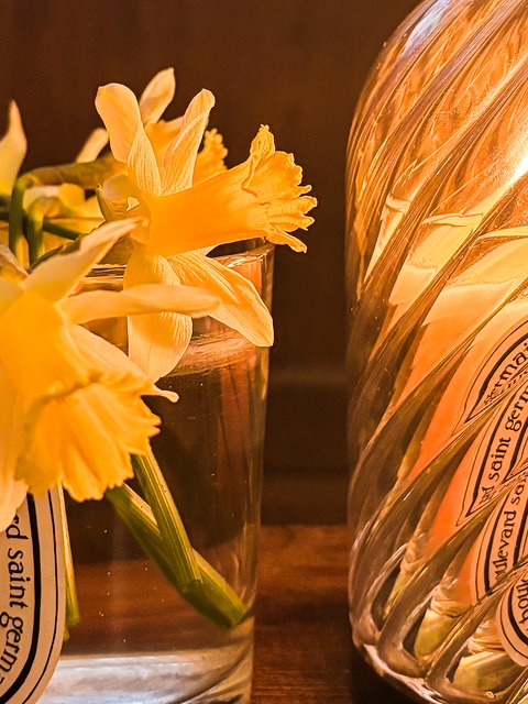 En mots et en images : février 2026