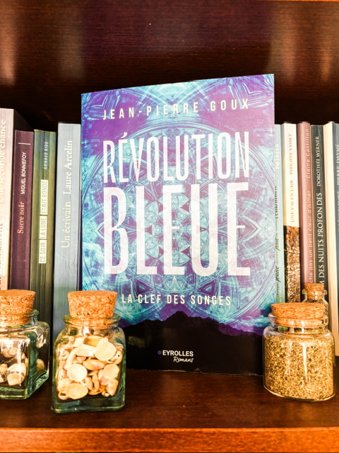 La Révolution bleue – 2 : la clef des songes, de Jean-Pierre&nbsp;Goux