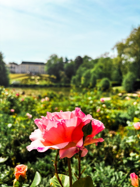 Les jolies activités des beaux jours