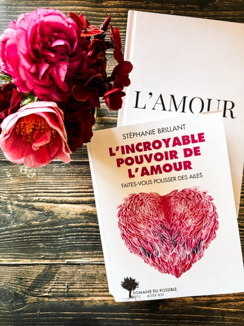 L’incroyable pouvoir de l’amour : faites-vous pousser des ailes, de Stéphanie Brillant