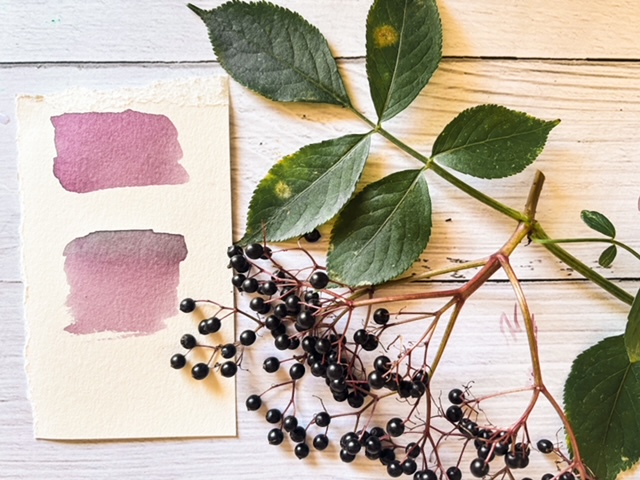DIY : fabriquer de l&rsquo;encre végétale avec des baies de sureau